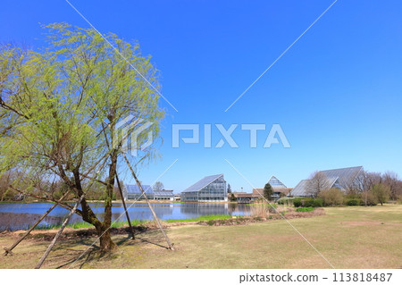 [富山縣] 晴天的富山縣中央植物園北池 113818487