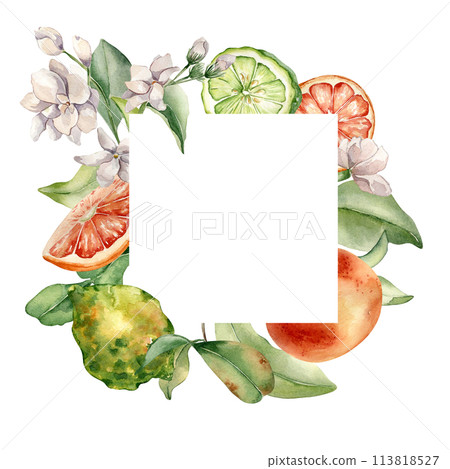 Frame with assorted green, orange fresh citrus. Fruit tree branches watercolor illustration isolated. Hand drawn bergamot and flowers jasmine in botanical sketch style for print products, package Frame with assorted green, orange fresh citrus. Fruit tree branches watercolor illustration isolated. Hand drawn bergamot and flowers jasmine in botanical sketch style for print products, package 113818527