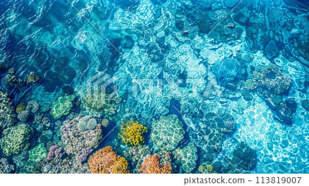 Aerial view of a fluid coral reef in the underwater ocean Aerial view of a fluid coral reef in the underwater ocean 113819007