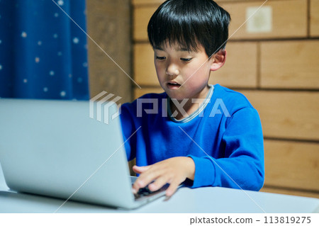 小學生在電腦上學習 小學生在電腦上學習 113819275