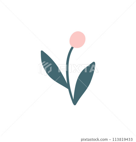 Blooming wild colorful flower. Botanical medical plant, meadow herb and field shrubs vector. Spring floral bloom illustration Blooming wild colorful flower. Botanical medical plant, meadow herb and field shrubs vector. Spring floral bloom illustration 113819433