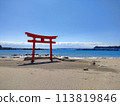 The red torii gates at Katsuura Central Beach 113819846