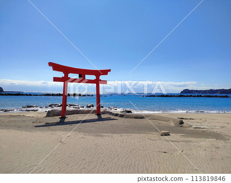 The red torii gates at Katsuura Central Beach 113819846