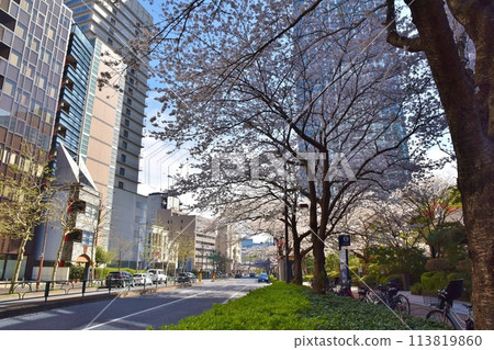 東京愛宕下街盛開 113819860