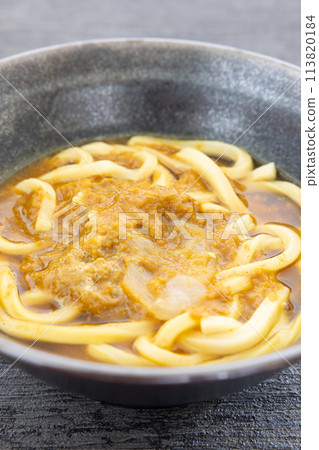 美味的咖哩烏冬面 美味的咖哩烏冬面 113820184