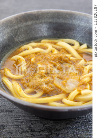 美味的咖哩烏冬面 美味的咖哩烏冬面 113820187