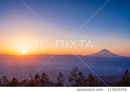 (Yamanashi Prefecture) Mt. Fuji seen from Mt. Amari at sunrise 113820256