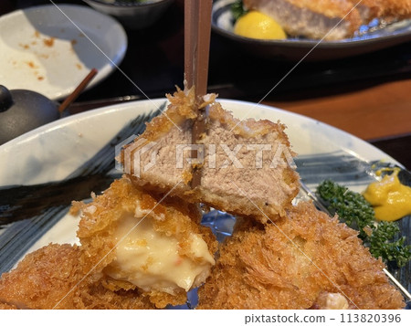 Pork cutlet Fillet cutlet 113820396