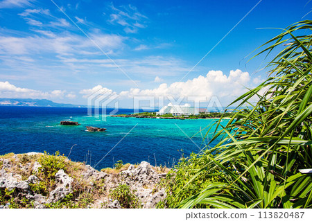 Okinawa scenery (Cape Maeda) 113820487