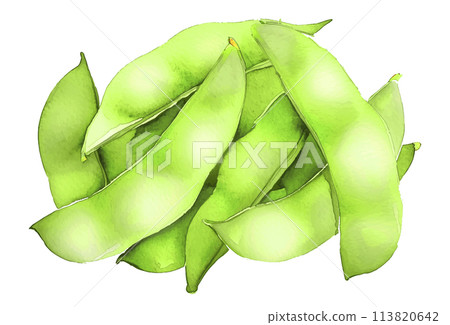 毛豆水彩。 AI 生成影像。夏季蔬菜的插圖。 毛豆水彩。 AI 生成影像。夏季蔬菜的插圖。 113820642