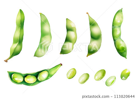 毛豆水彩。 AI 生成影像。夏季蔬菜的插圖。 113820644