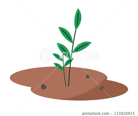 土壤和樹葉。植物生長。向量圖 113820913