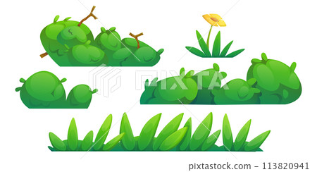 Grass, bushes and flowers border. 113820941
