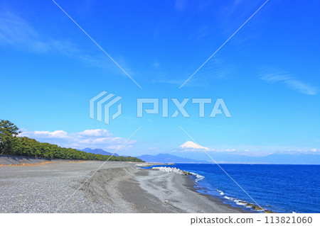 靜岡縣靜岡市三保松原和富士山的風景 113821060