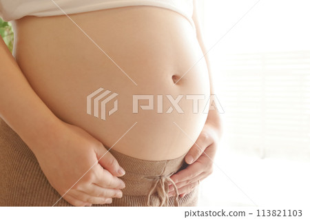 孕婦的胃 孕婦的胃 113821103