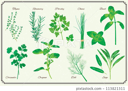 草本集 草本集 113821311