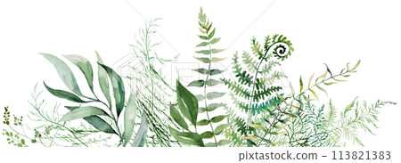 Border with Watercolor fern and botanical green leaves isolated illustration, wedding Border with Watercolor fern and botanical green leaves isolated illustration, wedding 113821383