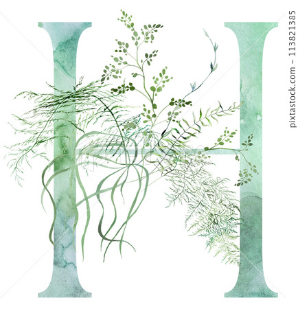Green letter H with Watercolor whimsical tender leaves isolated illustration, wedding element 113821385