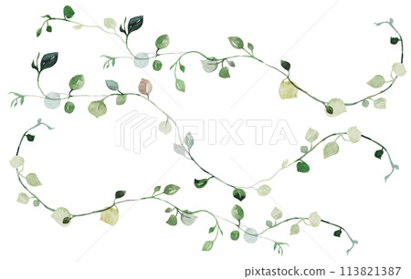 Watercolor tiny twigs with green leaves isolated illustration, botanical wedding element 113821387