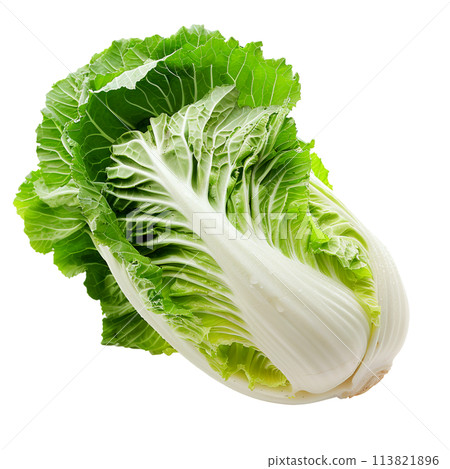 Head of Chinese cabbage on a white background. 113821896