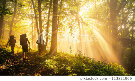 a sunrise hike through a misty mountain forest, capturing the serenity of summer mornings. 113821969
