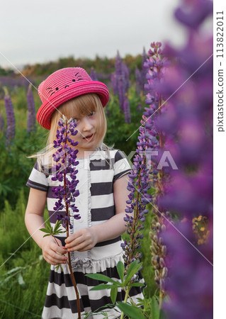A blonde girl in a field with purple flowers. A little girl in a pink hat is picking flowers in a field. A field with lupines 113822011