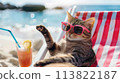 AI-generated content. Funny tabby cat in pink sunglasses sitting on the sun lounger or the stripy deckchair, sunbathing, cocktail to the side, blue sea beach background. 113822187