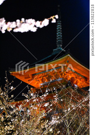 【清水寺】三層寶塔與夜晚的櫻花【京都夢幻春夜】 113822818