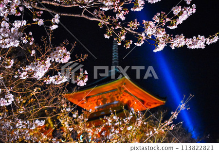 [Kiyomizu-dera Temple] Three-story pagoda and cherry blossoms at night [Spring in Kyoto] 113822821