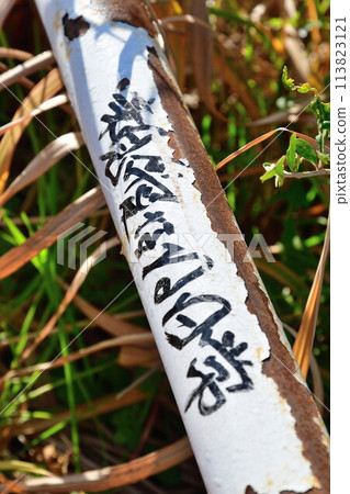 Dear Everyday Life (Miyagi Prefecture) Dear Everyday Life (Miyagi Prefecture) 113823121