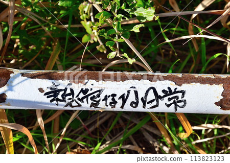 親愛的日常生活(宮城縣) 親愛的日常生活(宮城縣) 113823123