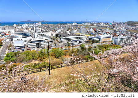[香川縣] 春天從丸龜城看到的丸龜市區和瀨戶內海 113823131