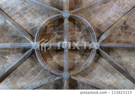Directly below view of stone ribbed vault in Renaissance Style 113823153