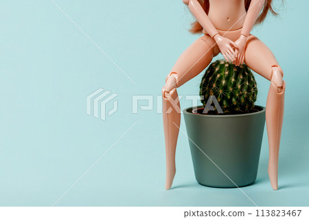 the doll sits on a cactus. Vascular structures in the lower rectum and acute pain concept, blue background with copy space. Haemorrhoids the doll sits on a cactus. Vascular structures in the lower rectum and acute pain concept, blue background with copy space. Haemorrhoids 113823467