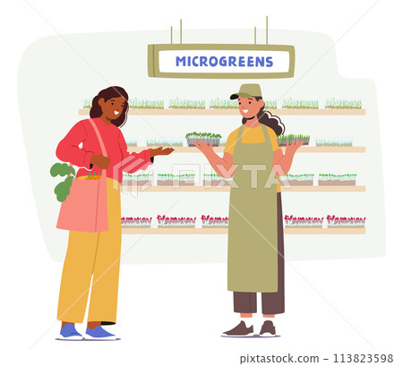Woman Buyer Character Carefully Selects Fresh Microgreens From The Produce Section Of Supermarket, Vector Illustration Woman Buyer Character Carefully Selects Fresh Microgreens From The Produce Section Of Supermarket, Vector Illustration 113823598
