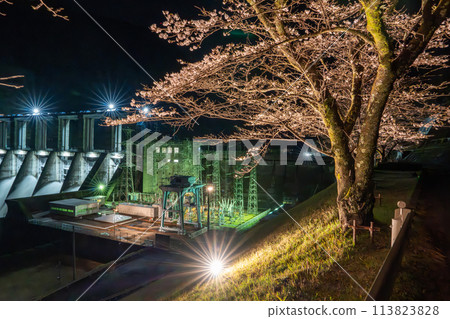 Akiha Dam and cherry blossoms at night (Shizuoka Prefecture) 113823828
