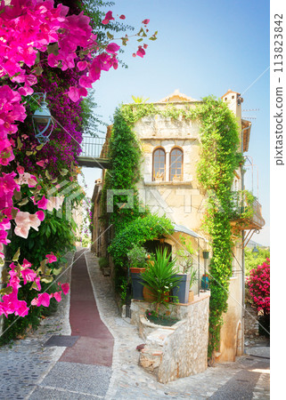 beautiful old town of Provence 113823842