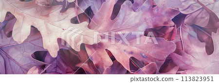 Autumnal Hues on Oak Leaves - Colorful Fall Foliage Background  AI-generated item 113823951