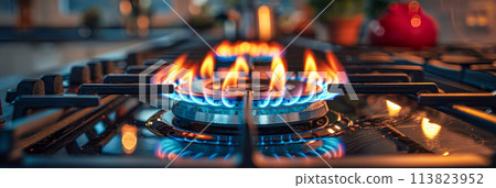 Close-Up View of Blue Gas Flames on Modern Kitchen Stove  AI-generated item 113823952