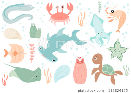 Set with sea creatures. Flat, cartoon style. Animals of seas and oceans. Vector illustration for design. Set with sea creatures. Flat, cartoon style. Animals of seas and oceans. Vector illustration for design. 113824125