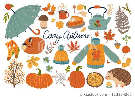 Set of autumn items isolated on a white background. Vector graphics. 113824203