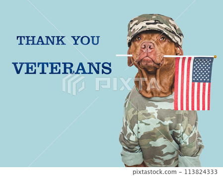 Memorial Day. Adorable dog and congratulatory inscription Memorial Day. Adorable dog and congratulatory inscription 113824333