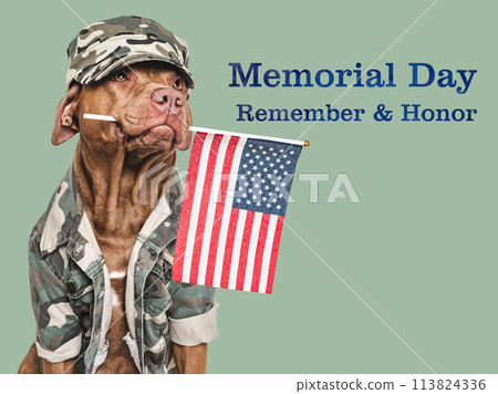 Memorial Day. Adorable dog and congratulatory inscription 113824336