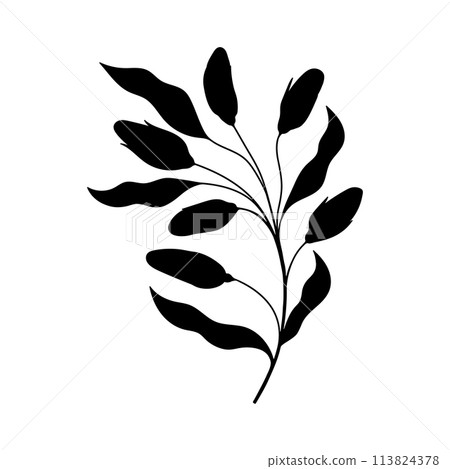 plant doodle, single plant silhouette isolated on white background plant doodle, single plant silhouette isolated on white background 113824378