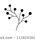 plant doodle, single plant silhouette isolated on white background 113824382