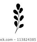 plant doodle, single plant silhouette isolated on white background 113824385