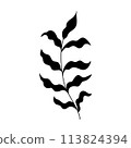 plant doodle, single plant silhouette isolated on white background 113824394