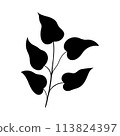 plant doodle, single plant silhouette isolated on white background 113824397