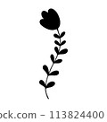 plant doodle, single plant silhouette isolated on white background 113824400