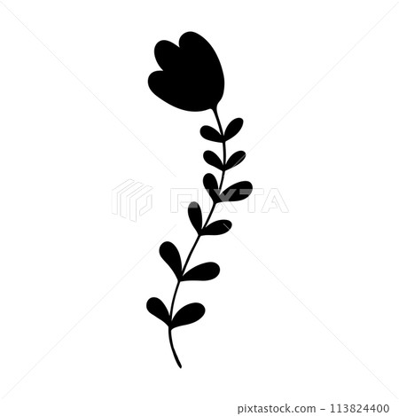 plant doodle, single plant silhouette isolated on white background plant doodle, single plant silhouette isolated on white background 113824400